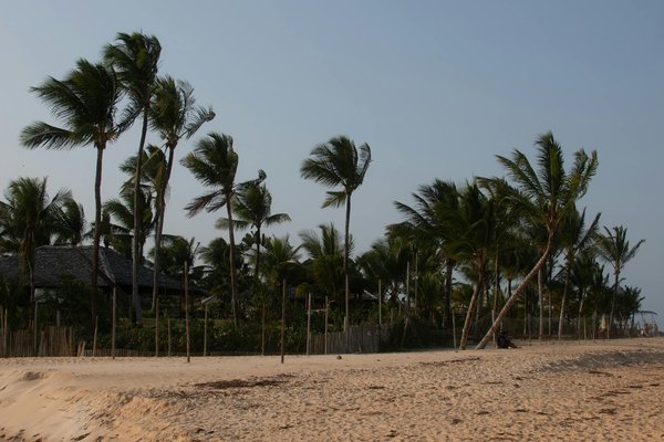 Explorer l'Antarctique : Impacts du Réchauffement Climatique sur une Croisière Écologique Mémorable